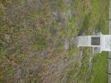 image of grave number 761086